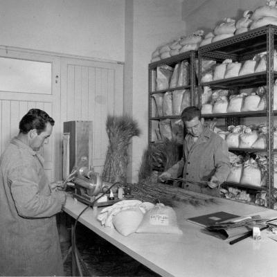 CNEN impianti e laboratori
