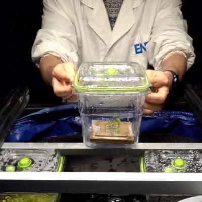 Biotecnologie