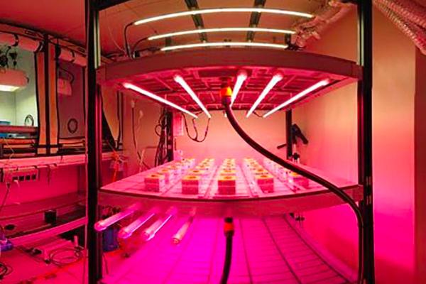 ENEA Biotech and Agrifood laboratories 